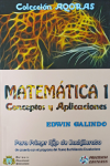 MATEMATICA 1 CONCEPTOS Y APLICACIONES GALINDO